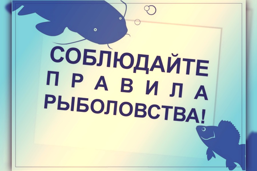 С 1 сентября 2021 года вступили в силу Правила рыболовства для Западно-Сибирского рыбохозяйственного бассейна.