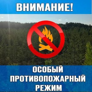 О введении особого противопожарного режима на территории сельского поселения Полноват.